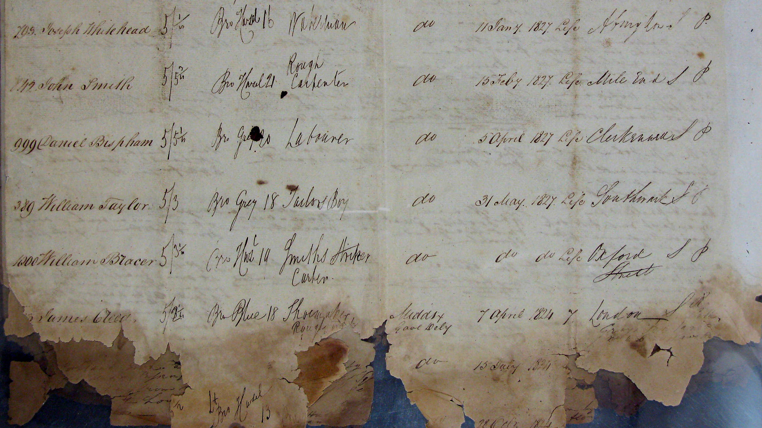 Excerpt from ledgers held as part of Brickendon Estate’s archives mentioning William Bracer.