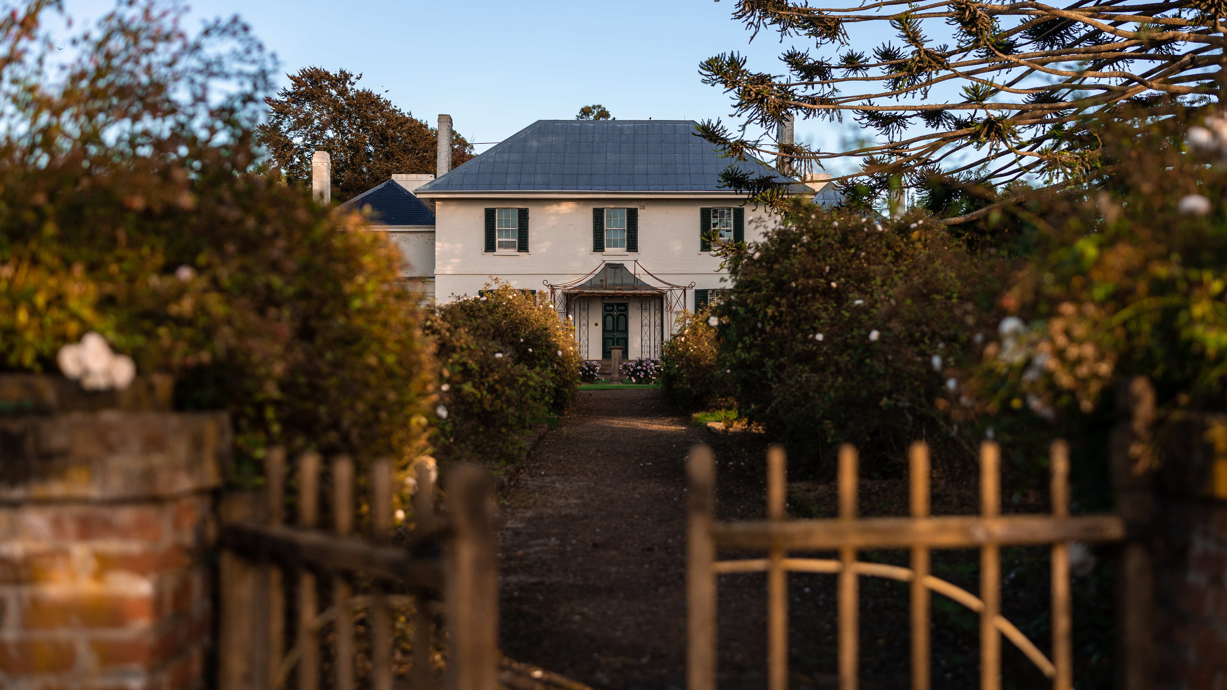 Looking through the timber gates at the end of the rose walk, the Georgian homestead features the ornate portico at the front door with three windows on the second story and zinc coated tin roof. A large Bunya pine (Araucaria bidwillii) stands to the right of the image. Photo: Kate von Stieglitz / Tourism Australia.