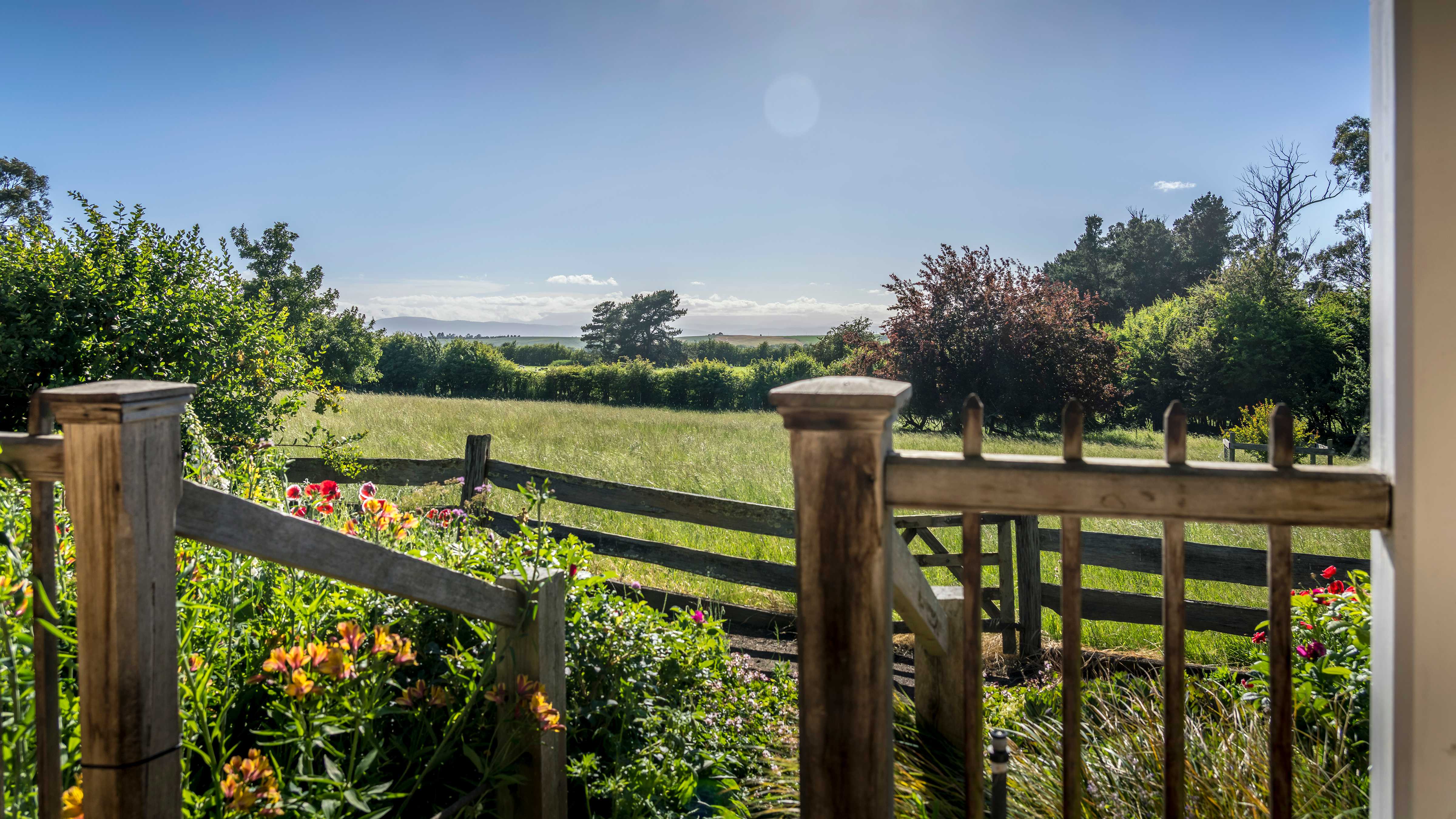 Wooden verandah posts looking out to a cottage garden with poppies, roses and green foliage. Beyond the garden is a post and rail fence with a field of grass and hawthorn hedgerows beyond. In the distance is a large pine tree and mountain range. Photo: Rob Burnett.