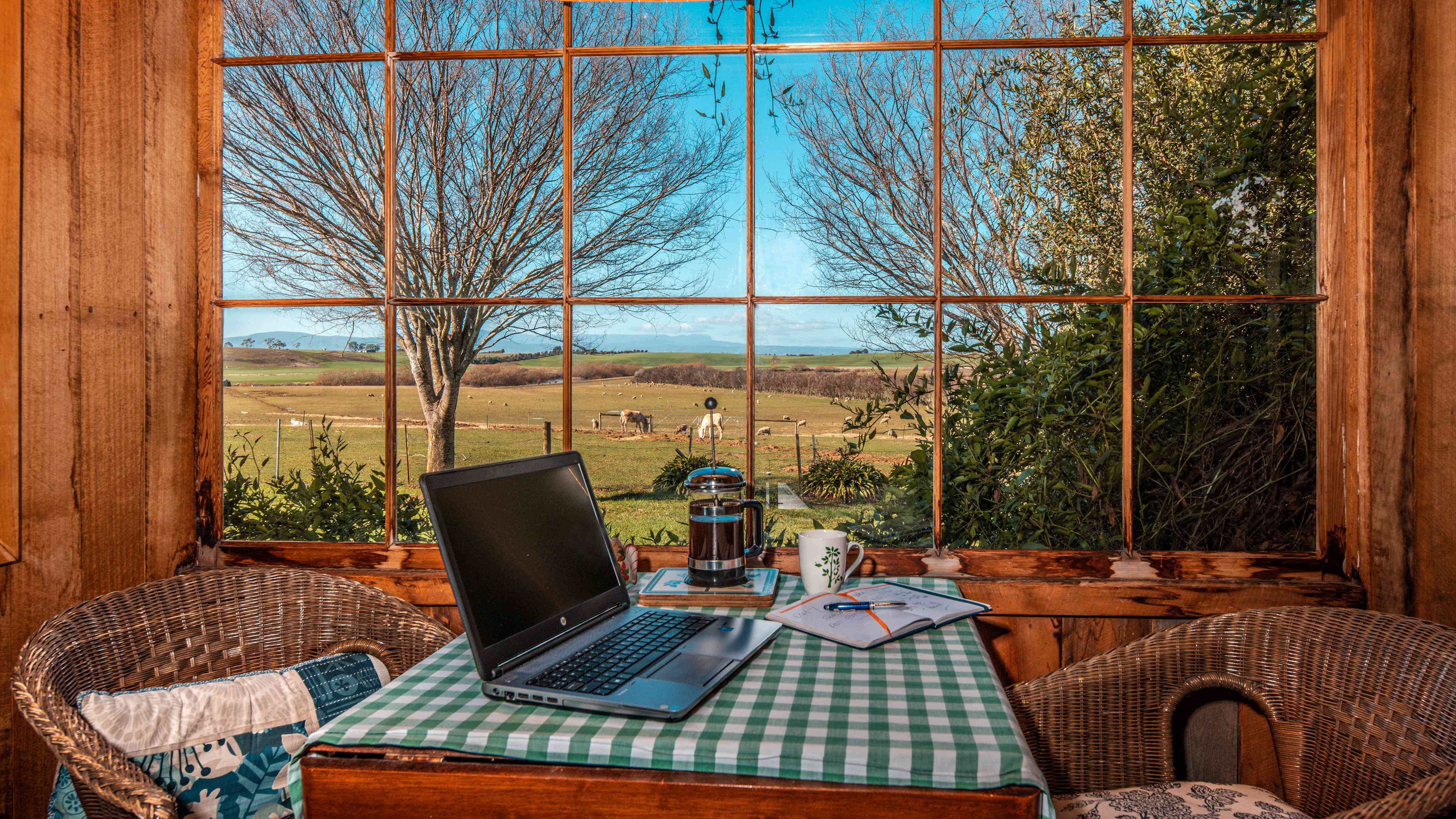 A large paned window looks out to a couple of trees and fields with farm animals. A table has a green and white checked tablecloth and a computer, coffee plunger, mug and book sit on the table. Two wicker chairs sit on either side of the table. Photo: Rob Burnett.