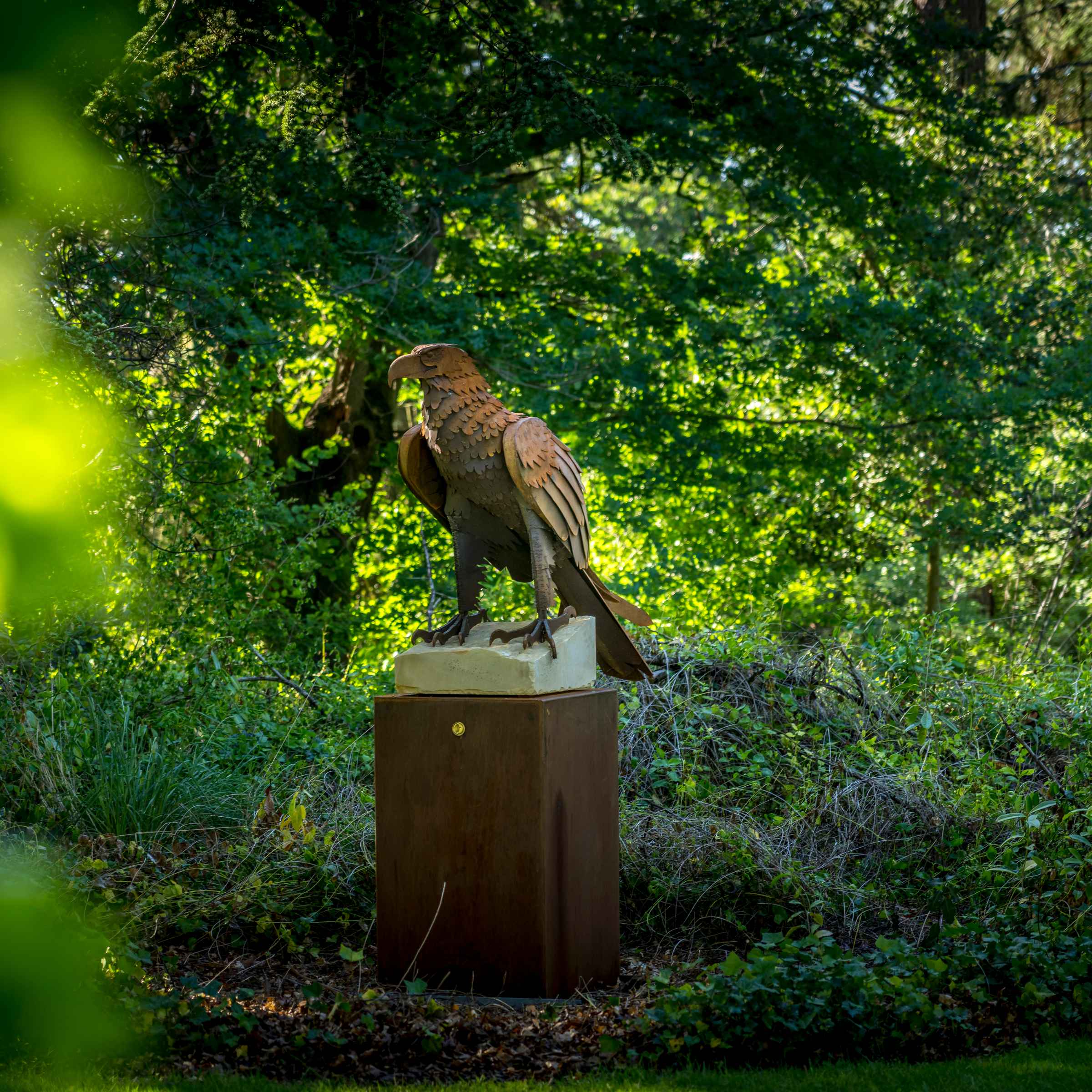A Wedge Tailed Eagle steel sculpture stands on a sandstone and steel plinth under the branches of the Cedar of Lebanon. Photo: Rob Burnett.