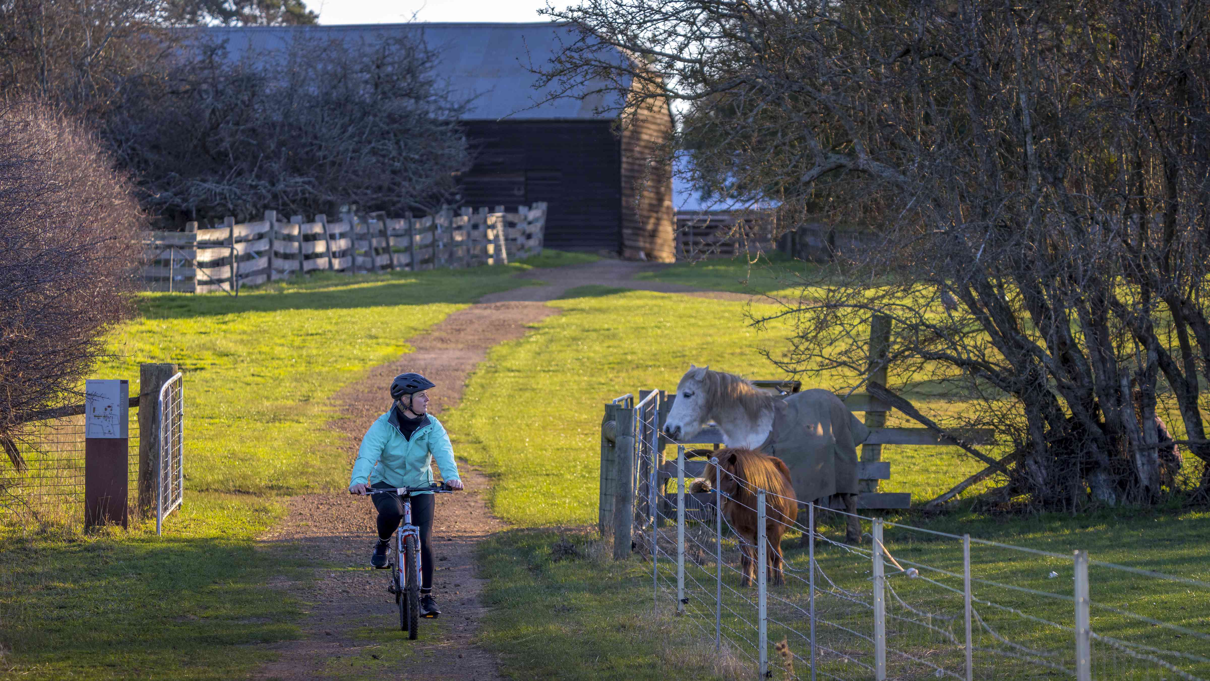 A cyclist rides down the Convict Trail past a white horse and brown pony in the paddock to the right. The shearing shed and sheeps yards are in the background. Photo: Rob Burnett.