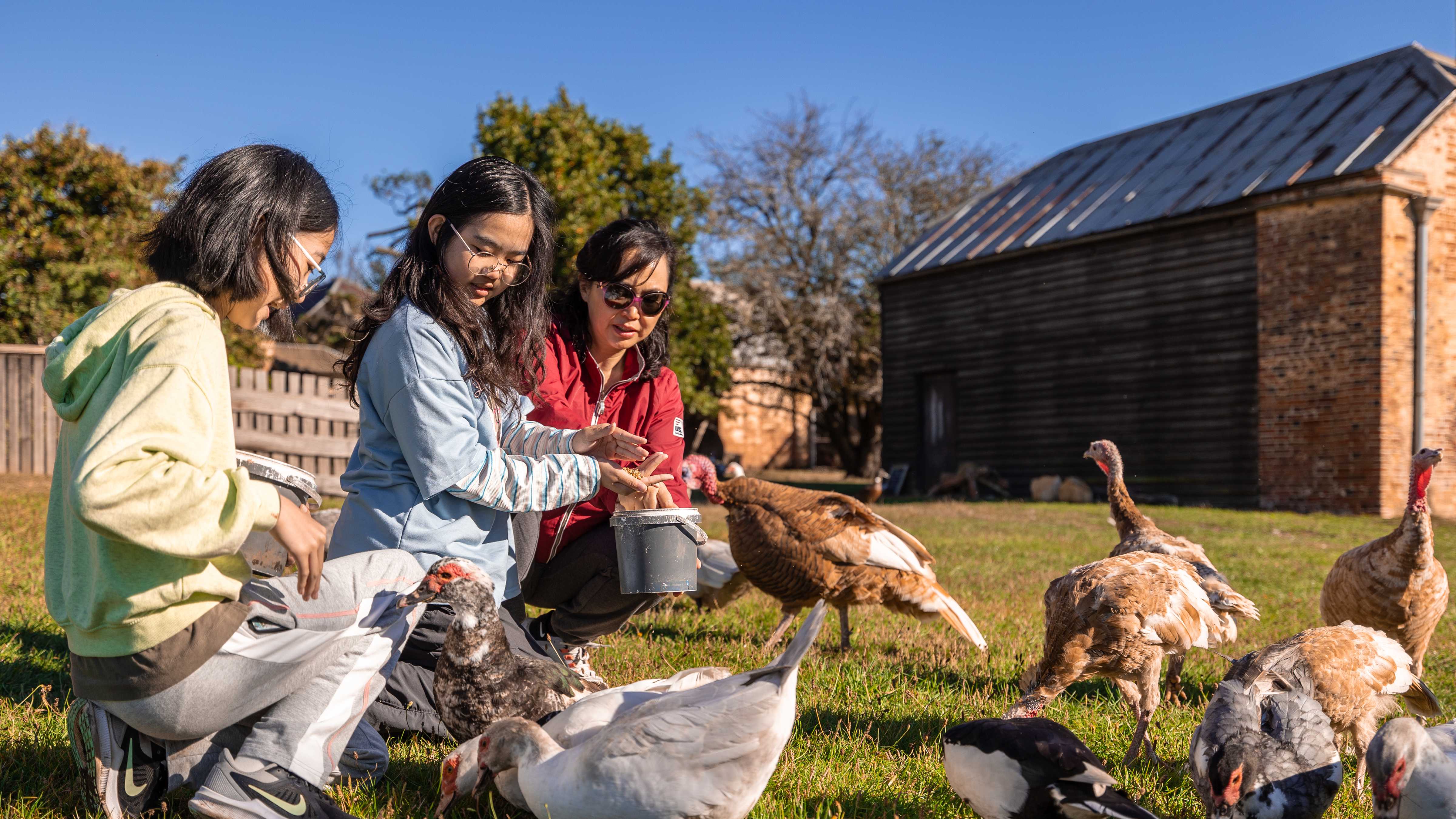 Two young girls and their mother hand feeding grain to a number of ducks and turkeys. The Cookhouse constructed of brick and timber with flat iron roof stands in the background. Photo: Kate von Stieglitz / Tourism Australia.