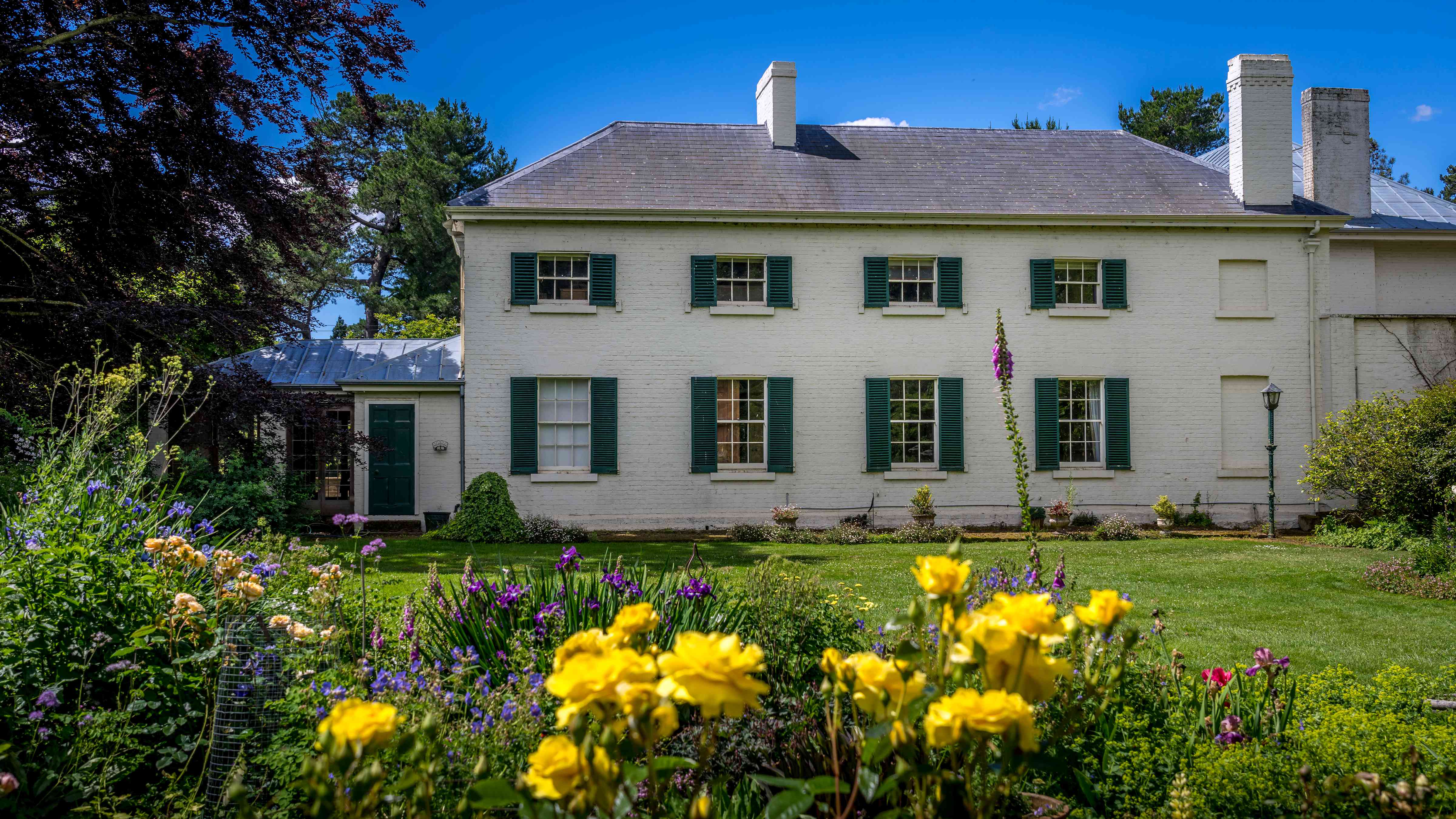 A garden bed with yellow roses and purple and blue perennials is the foreground to this image of the southern wing of the main homestead. A slate roof has multiple chimneys and the two “blind” windows on the end of the wing continue the symmetry of the Georgian architecture. Timber shutters are both on the outside and inside of the downstairs windows. A large tri-colored beech tree is to the left of the shot. Photo: Rob Burnett.