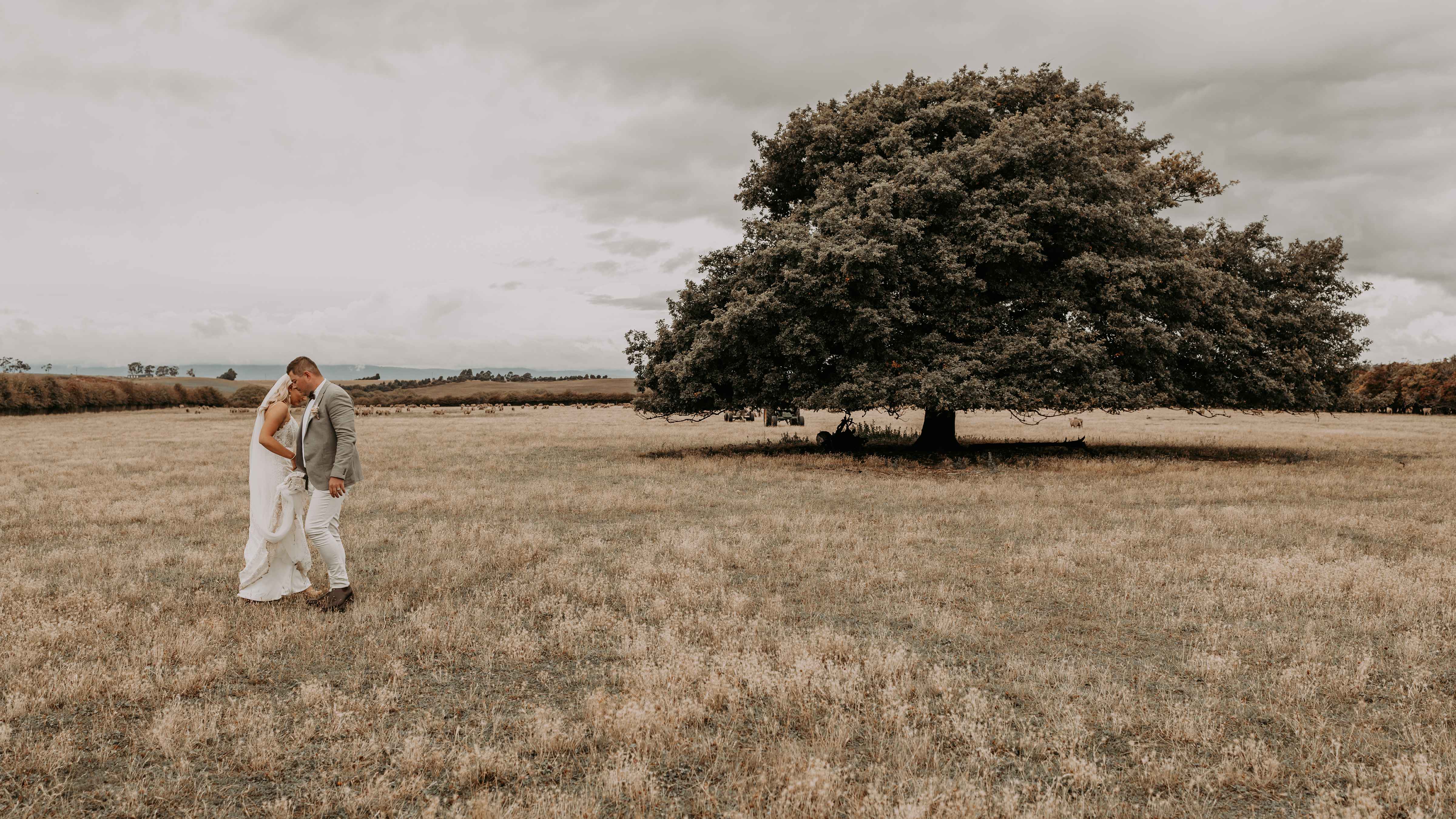 A bride and groom stand close to each other in a grassy paddock. A large oak tree is in the middle of the paddock with an overcast sky. Photo: Tiarne Shaw Photography.