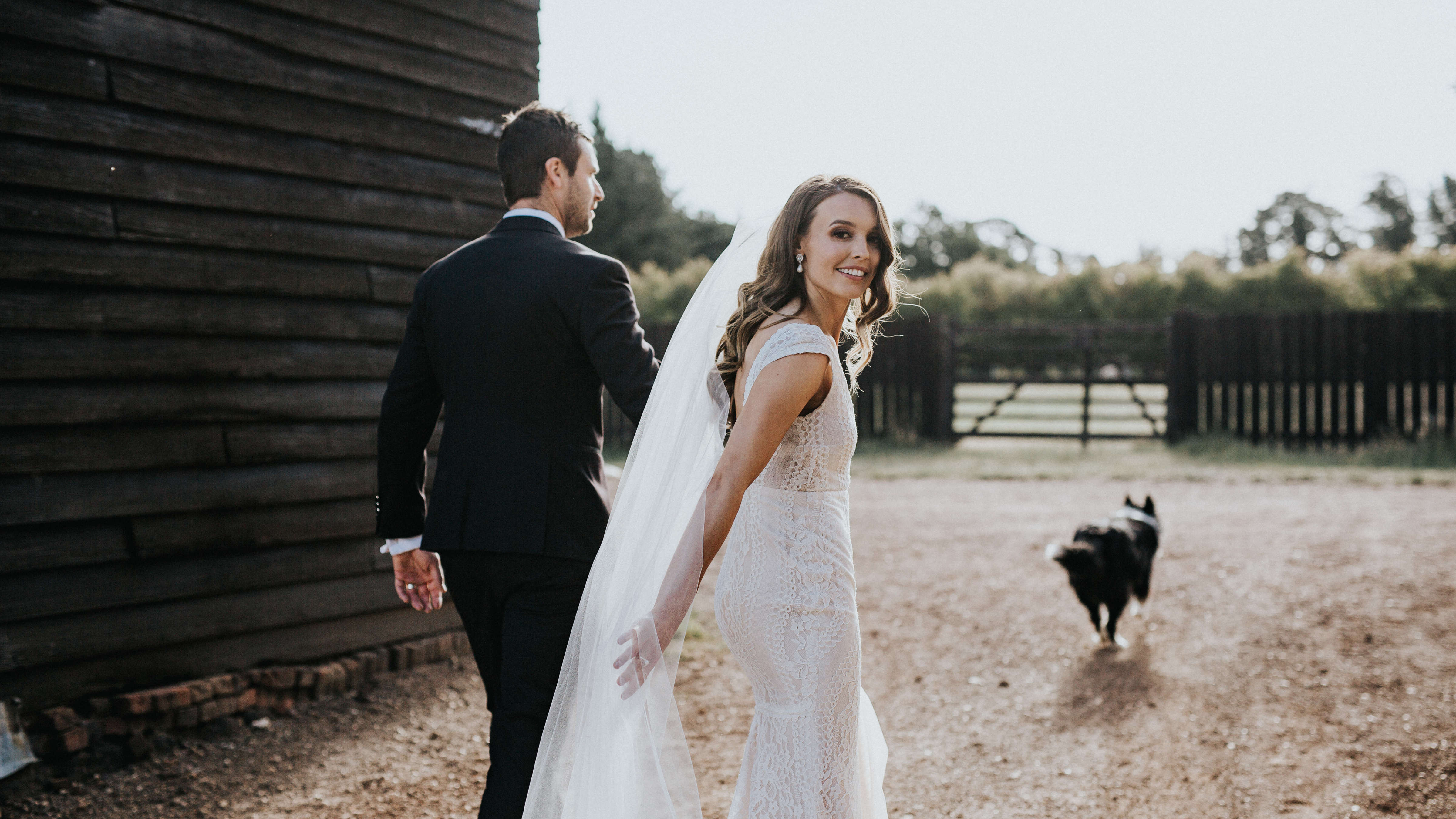 A bride turns to look at the camera while holding hands with her husband. Their border collie dog runs ahead of them towards a tall timber fence. Photo: Cassie Sullivan.