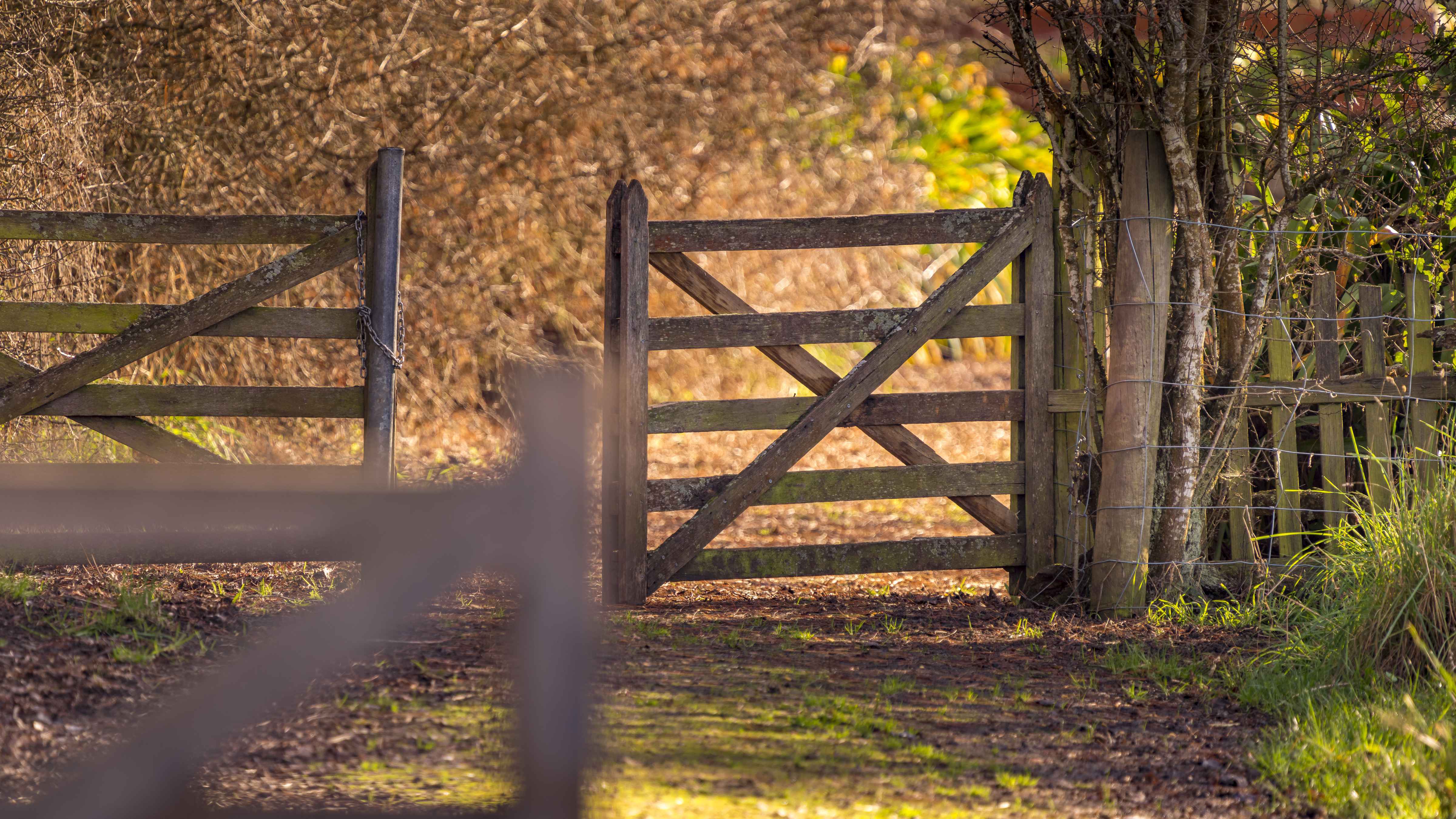 Set of double timber gates with hawthorn hedge in the background. Photo: Rob Burnett.