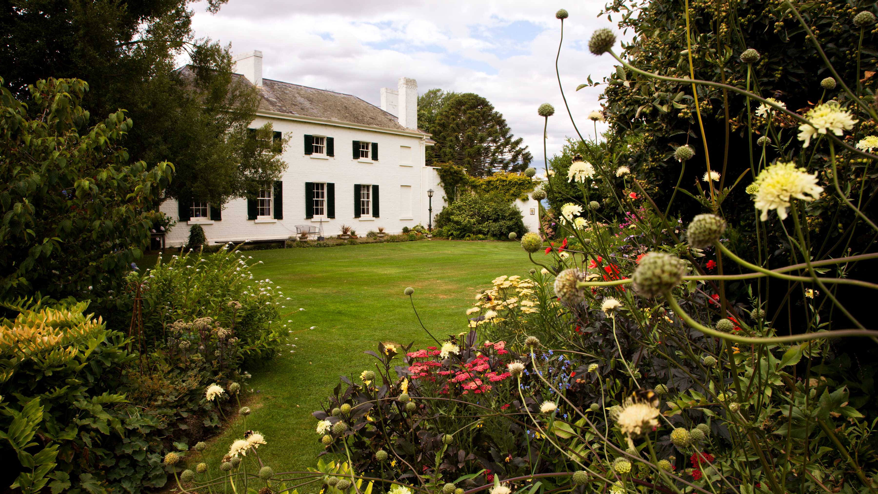The colourful array of perennial flowers in the foreground frame the lawn leading to the southern wing of the Georgian homestead. The walls of the house are white painted brick with large and small Georgian paned windows. This wing is slate roofed. Photo: Sue Wendell-Smith.
