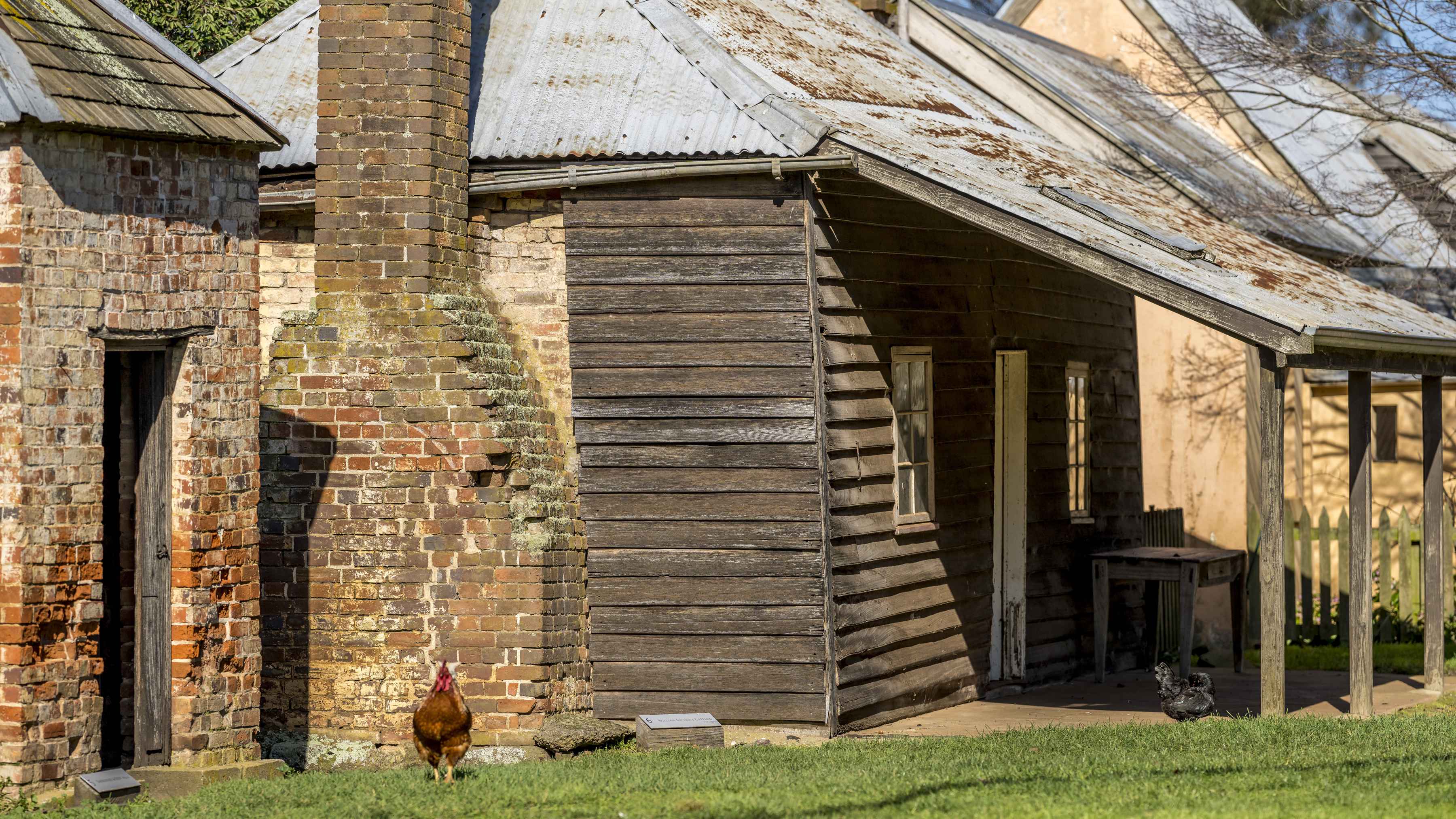Streetscape of Farm Village with brick smokehouse, original William Archer cottage with Overseer’s cottage in background. A rooster stands in the foreground. Photo: Rob Burnett.
