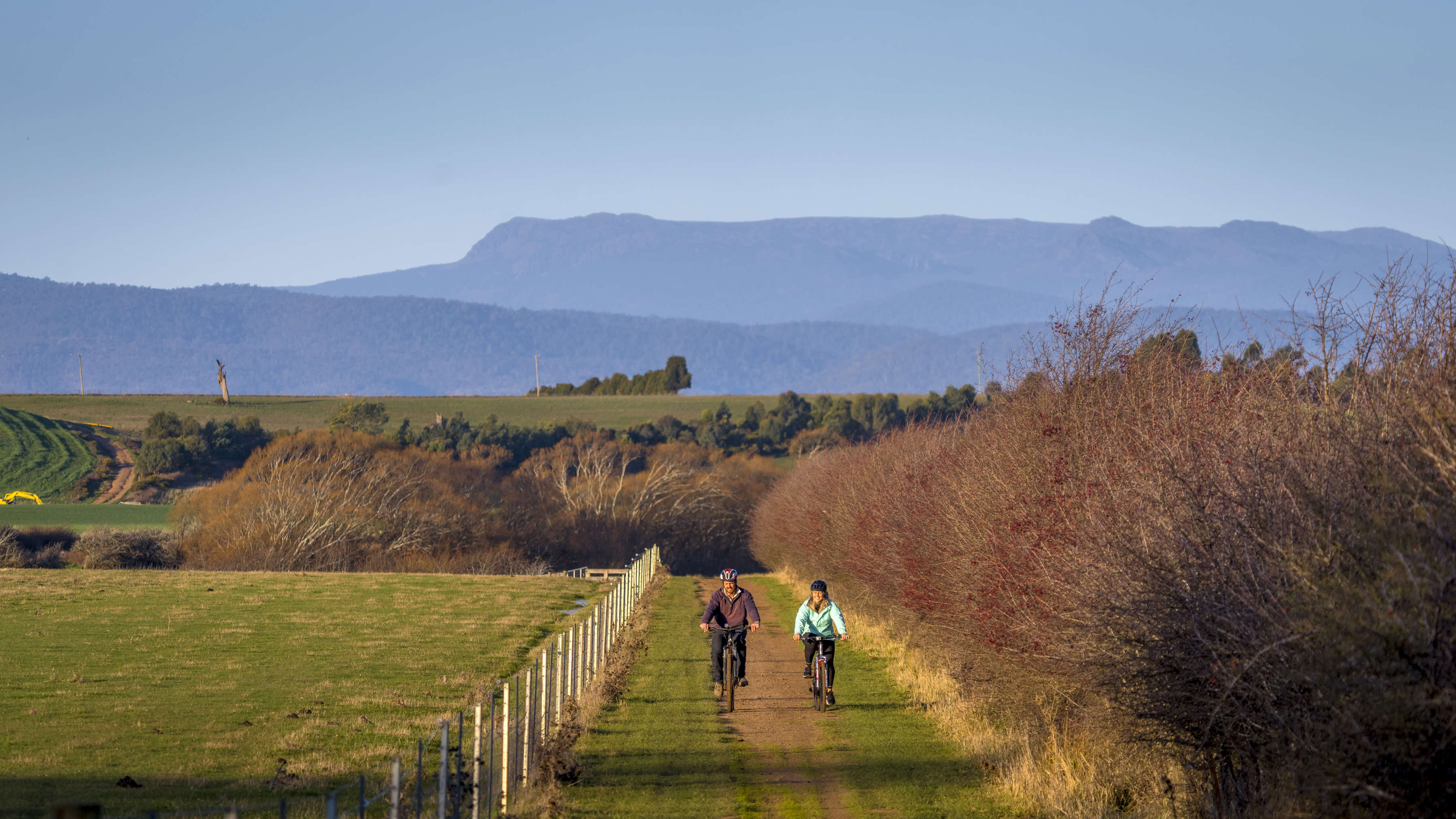 Two cyclists ride along the Convict Trail beside a hawthorn hedge. Rolling hills and Ben Lomond mountain are in the background. The hedgerow has red berries as the image was taken in Autumn. Photo: Rob Burnett.
